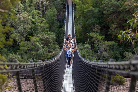 Tahune Airwalk Active Day Trip From Hobart Including Hastings Caves - Coogee Beach Accommodation 3