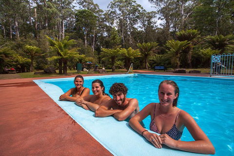 Tahune Airwalk Active Day Trip From Hobart Including Hastings Caves - Coogee Beach Accommodation 5