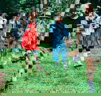 Let's Go Buggin  Let's Go Shroomin - Photography  Nature Walking Tours - Coogee Beach Accommodation