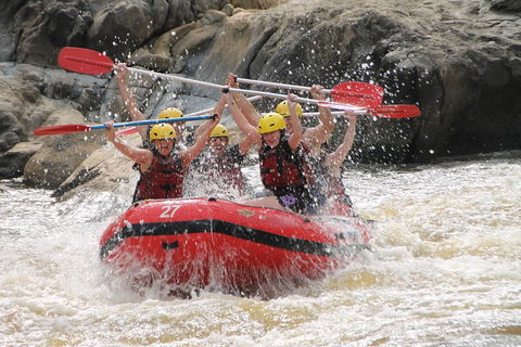 Barron Gorge National Park Half-Day White Water Rafting From Cairns Or Port Douglas - Coogee Beach Accommodation 5