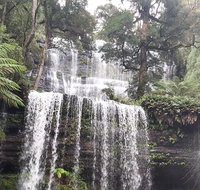 6-Day Hearty Tasmania Tour Tasmania in a Circle - Coogee Beach Accommodation