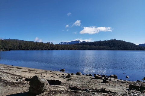 6-Day Hearty Tasmania Tour (Tasmania In A Circle) - Coogee Beach Accommodation 1