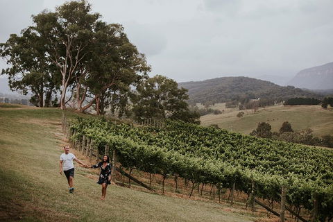 Luxury Blue Mountains Tour With Aussie BBQ Lunch And Wine Tasting - Coogee Beach Accommodation 3
