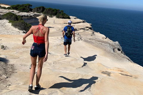 See Sydney With A Local: Private & Personalized - Coogee Beach Accommodation 0