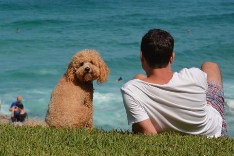 See Sydney With A Local: Private & Personalized - Coogee Beach Accommodation 5