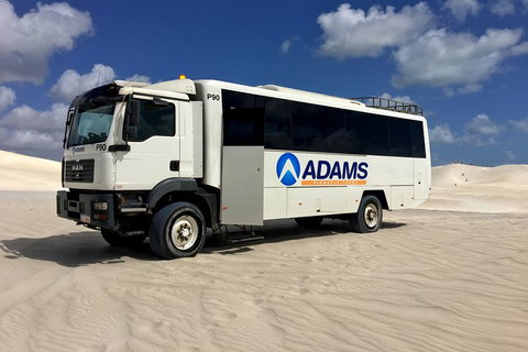 Pinnacles Desert, Koalas And Sandboarding 4WD Day Tour From Perth - Coogee Beach Accommodation 2