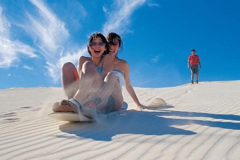 Pinnacles Desert, Koalas And Sandboarding 4WD Day Tour From Perth - Coogee Beach Accommodation 3