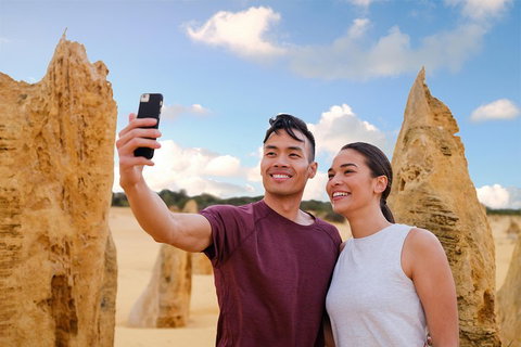 Pinnacles Desert, Koalas And Sandboarding 4WD Day Tour From Perth - Coogee Beach Accommodation 4