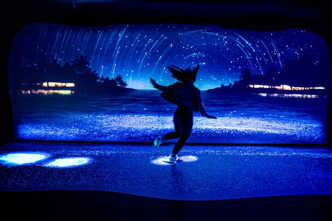 SEA LIFE Sydney Aquarium Entrance Ticket - Coogee Beach Accommodation 3