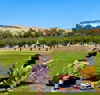 Private Picnic and Wine Tasting Experience in Barossa Valley - Coogee Beach Accommodation