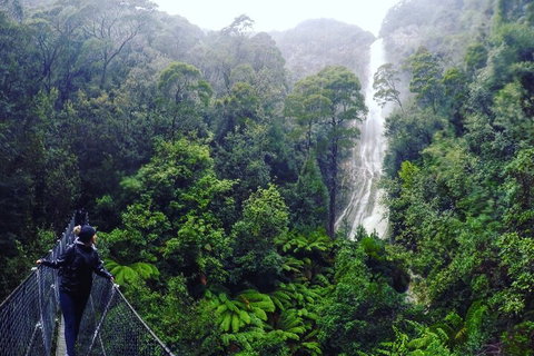 3 Day Tasmanian Wild West Coast Tour From Hobart To Launceston - Coogee Beach Accommodation 4