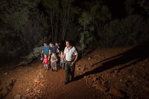 Alice Springs Desert Park Nocturnal Tour - Coogee Beach Accommodation 0