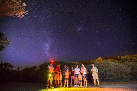 Alice Springs Desert Park Nocturnal Tour - Coogee Beach Accommodation 2