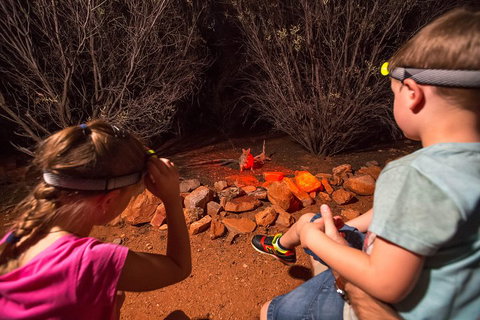 Alice Springs Desert Park Nocturnal Tour - Coogee Beach Accommodation 4