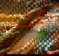 The Perth Mint Guided Heritage Tour and Gold Pour - Coogee Beach Accommodation