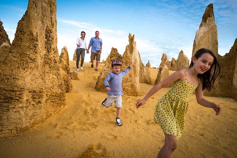 Full-Day Pinnacles Desert And Yanchep National Park Tour From Perth - Coogee Beach Accommodation 0