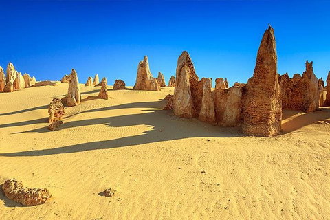 Full-Day Pinnacles Desert And Yanchep National Park Tour From Perth - Coogee Beach Accommodation 2