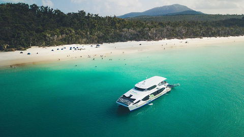 Whitehaven Beach And Daydream Island Cruise - Coogee Beach Accommodation 1
