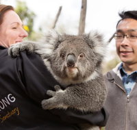 Bonorong Wildlife Park and Richmond Afternoon Tour from Hobart - Coogee Beach Accommodation