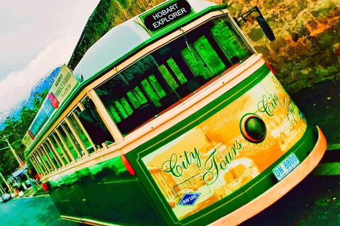 Hobart Half-Day Sightseeing Coach Tram Tour - Coogee Beach Accommodation 5