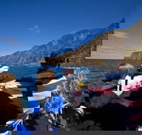 Seal Island Boat Tour from Victor Harbor - Coogee Beach Accommodation