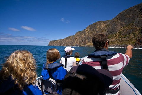 Seal Island Boat Tour From Victor Harbor - Coogee Beach Accommodation 0