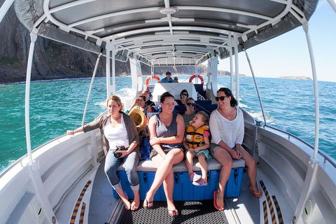 Seal Island Boat Tour From Victor Harbor - Coogee Beach Accommodation 1