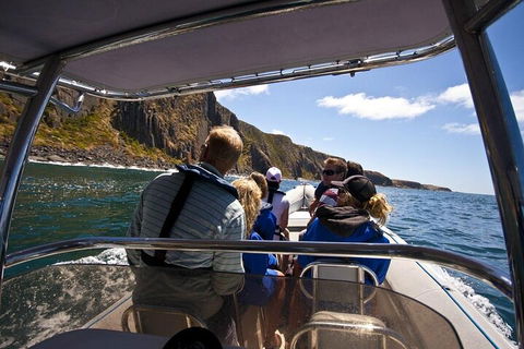 Seal Island Boat Tour From Victor Harbor - Coogee Beach Accommodation 2