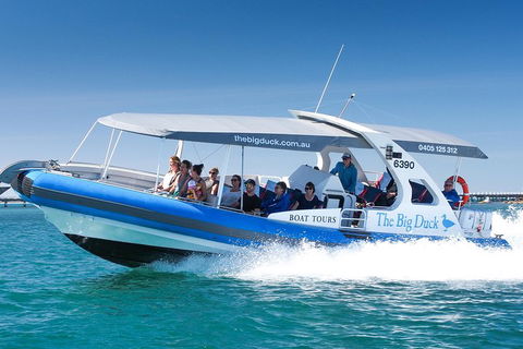 Seal Island Boat Tour From Victor Harbor - Coogee Beach Accommodation 3