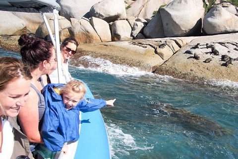 Seal Island Boat Tour From Victor Harbor - Coogee Beach Accommodation 4