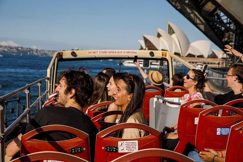 Hop-On Hop-Off Bus And PLUS 4 Merlin Attractions - Coogee Beach Accommodation 1