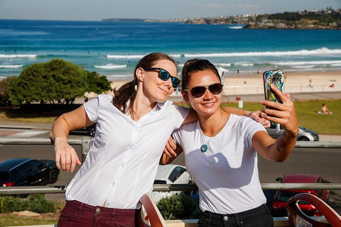 Hop-On Hop-Off Bus And PLUS 4 Merlin Attractions - Coogee Beach Accommodation 4