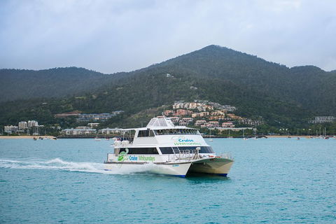 Whitsunday Islands Hopper Pass - Coogee Beach Accommodation 4