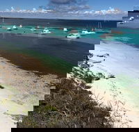 Experience Rottnest with Ferry  Bike Hire from Perth or Fremantle - Coogee Beach Accommodation