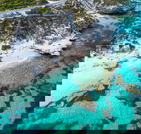 Rottnest Island Round-Trip Ferry from Perth or Fremantle - Coogee Beach Accommodation