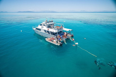 Ocean Freedom Great Barrier Reef Personal Luxury Snorkel & Dive Cruise, Cairns - Coogee Beach Accommodation 0