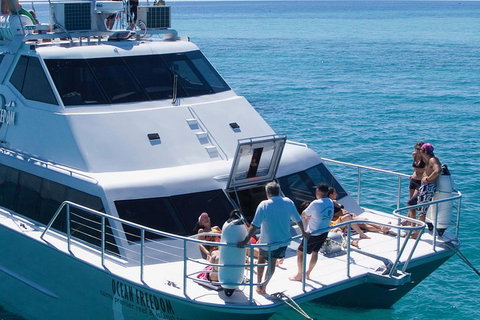Ocean Freedom Great Barrier Reef Personal Luxury Snorkel & Dive Cruise, Cairns - Coogee Beach Accommodation 1