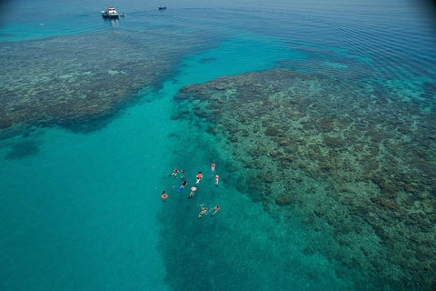 Ocean Freedom Great Barrier Reef Personal Luxury Snorkel & Dive Cruise, Cairns - Coogee Beach Accommodation 3
