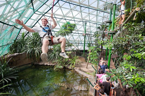 Cairns ZOOM And Wildlife Dome - Coogee Beach Accommodation 4