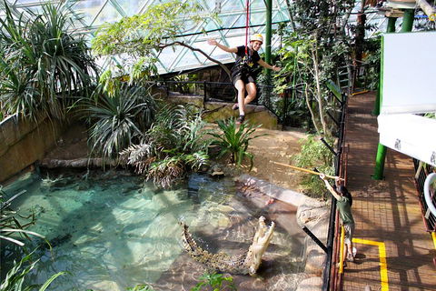 Cairns ZOOM And Wildlife Dome - Coogee Beach Accommodation 5