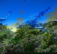 Classic Kuranda by Skyrail and Scenic Railway Including Rainforestation Koala and Wildlife Park and Pamagirri Aboriginal Experi - Coogee Beach Accommodation