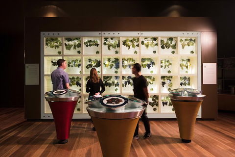 Australian Wine Discovery Tour Ticket - Coogee Beach Accommodation 3