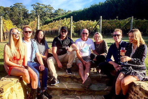 Daylesford Wine Tours: Wine, Cider, Gin, Vodka, Port, Food & Sights Tours! - Coogee Beach Accommodation 5