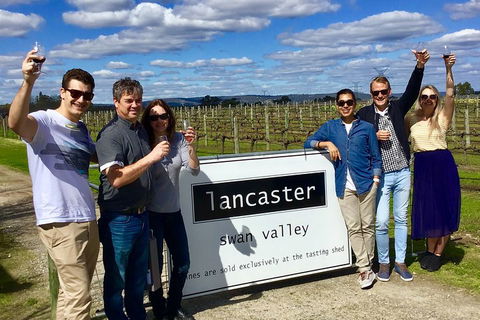 Swan Valley Tour From Perth: Wine, Beer And Chocolate Tastings - Coogee Beach Accommodation 1