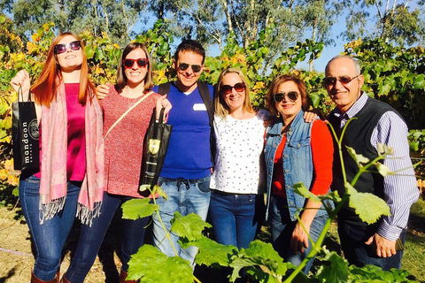 Swan Valley Tour From Perth: Wine, Beer And Chocolate Tastings - Coogee Beach Accommodation 2