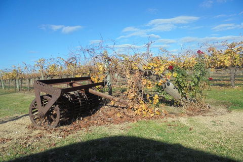Swan Valley Tour From Perth: Wine, Beer And Chocolate Tastings - Coogee Beach Accommodation 3