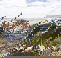 6-Day Eyre Peninsula  Flinders Ranges Adventure Tour - Coogee Beach Accommodation