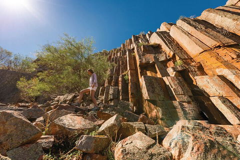 6-Day Eyre Peninsula & Flinders Ranges Adventure Tour - Coogee Beach Accommodation 4