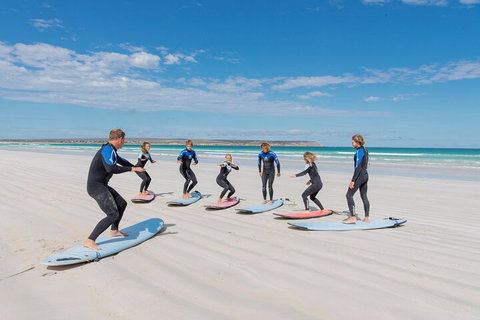 10-Day Adelaide To Perth Adventure Tour - Coogee Beach Accommodation 0