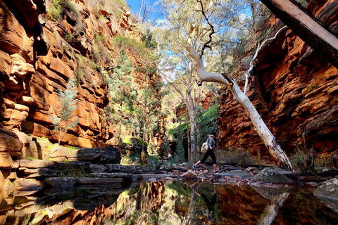 10-Day Adelaide To Perth Adventure Tour - Coogee Beach Accommodation 5